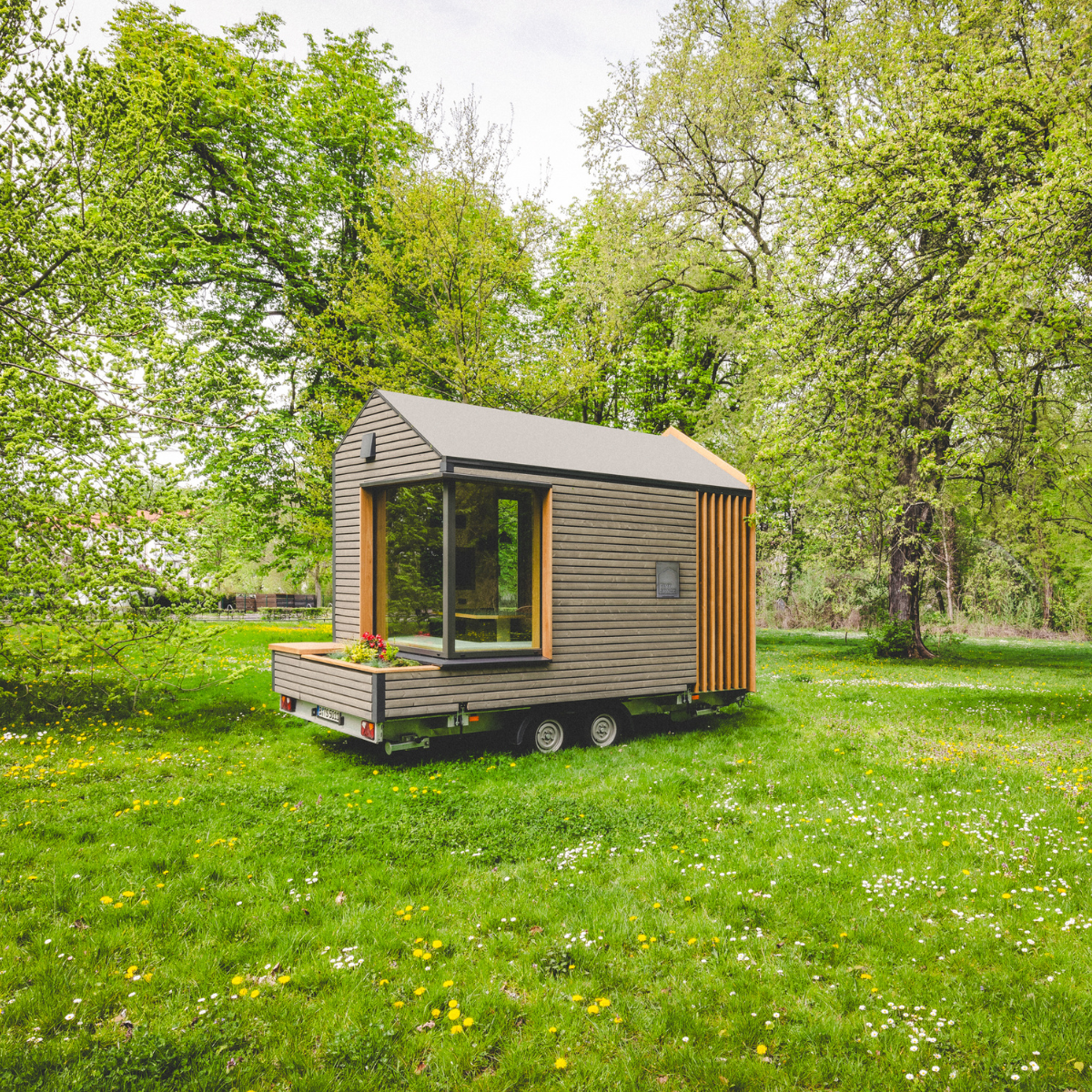 TINY SPACE in Nature